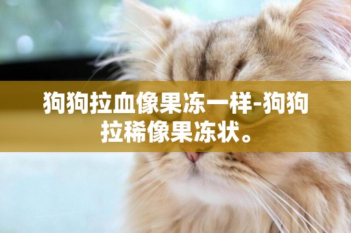 狗狗拉血像果凍一樣-狗狗拉稀像果凍狀。