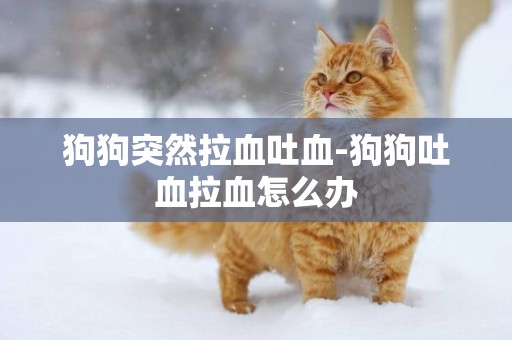 狗狗突然拉血吐血-狗狗吐血拉血怎么辦