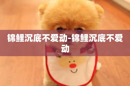 錦鯉沉底不愛動-錦鯉沉底不愛動