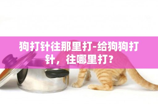 狗打針往那里打-給狗狗打針，往哪里打？