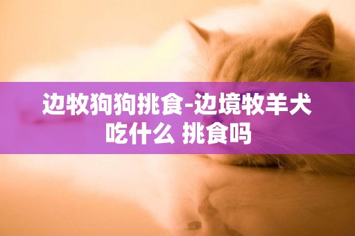邊牧狗狗挑食-邊境牧羊犬吃什么 挑食嗎
