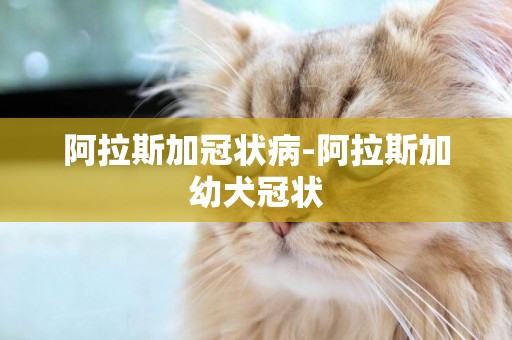 阿拉斯加冠狀病-阿拉斯加幼犬冠狀