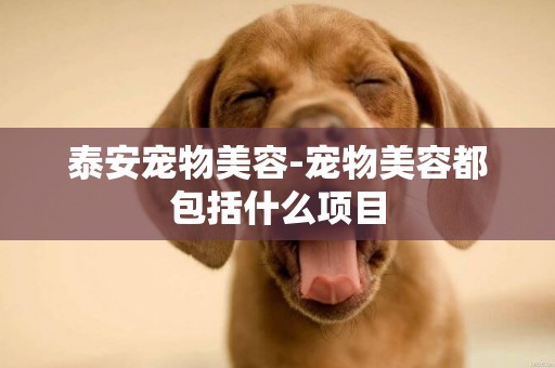 泰安寵物美容-寵物美容都包括什么項目