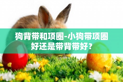 狗背帶和項圈-小狗帶項圈好還是帶背帶好？