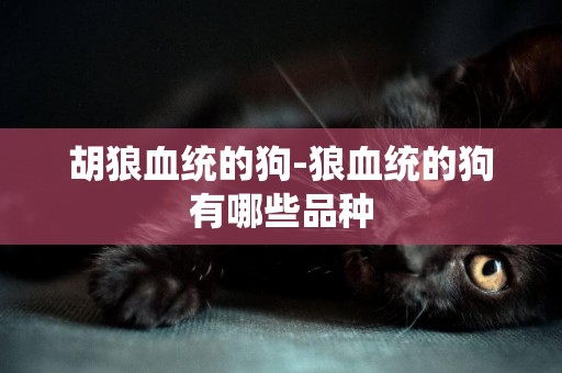 胡狼血統的狗-狼血統的狗有哪些品種