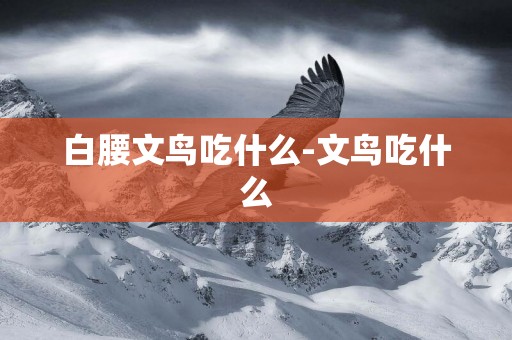 白腰文鳥吃什么-文鳥吃什么