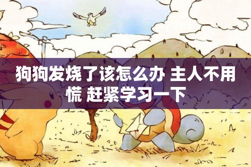 狗狗發燒了該怎么辦 主人不用慌 趕緊學習一下