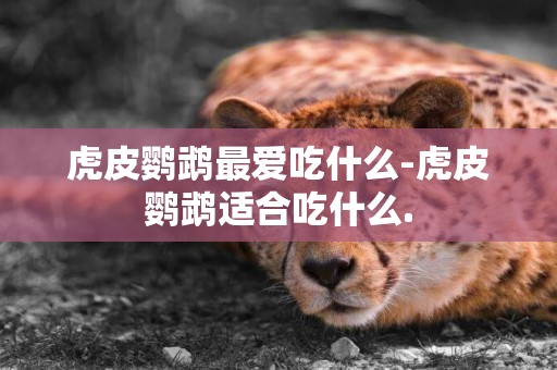 虎皮鸚鵡最愛吃什么-虎皮鸚鵡適合吃什么.