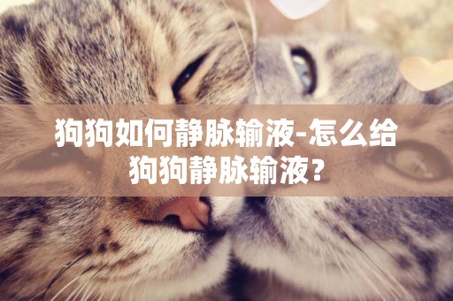 狗狗如何靜脈輸液-怎么給狗狗靜脈輸液？