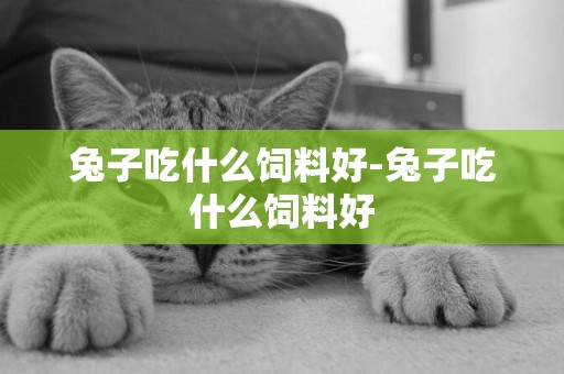 兔子吃什么飼料好-兔子吃什么飼料好