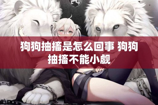 狗狗抽搐是怎么回事 狗狗抽搐不能小覷