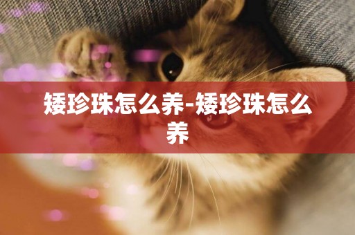 矮珍珠怎么養-矮珍珠怎么養