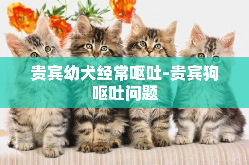 貴賓幼犬經常嘔吐-貴賓狗嘔吐問題