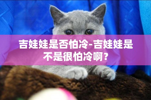 吉娃娃是否怕冷-吉娃娃是不是很怕冷啊？