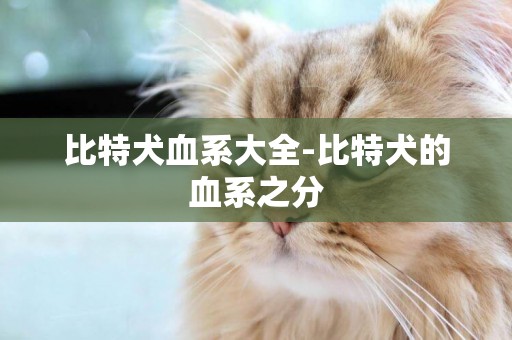 比特犬血系大全-比特犬的血系之分