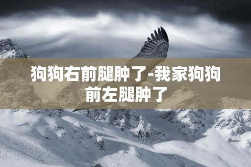 狗狗右前腿腫了-我家狗狗前左腿腫了