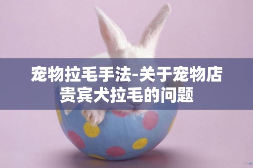寵物拉毛手法-關于寵物店貴賓犬拉毛的問題