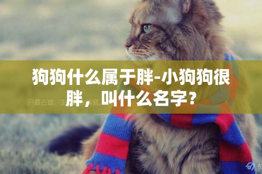 狗狗什么屬于胖-小狗狗很胖，叫什么名字？