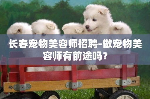 長春寵物美容師招聘-做寵物美容師有前途嗎？