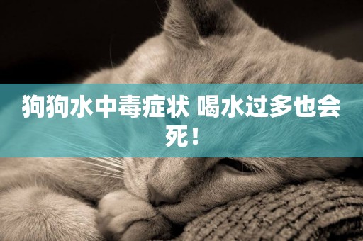狗狗水中毒癥狀 喝水過多也會死！