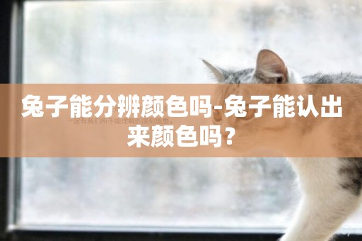 兔子能分辨顏色嗎-兔子能認出來顏色嗎？