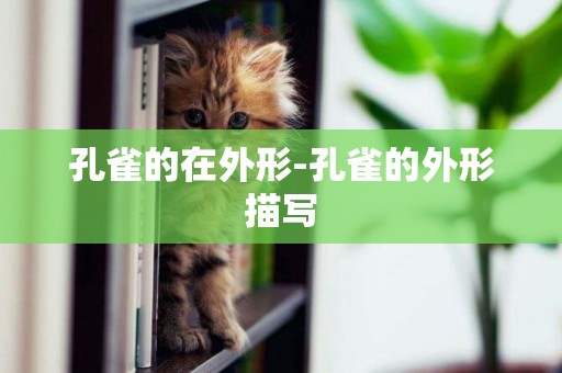 孔雀的在外形-孔雀的外形描寫