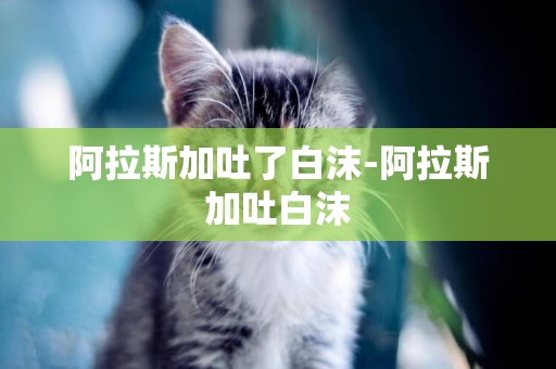 阿拉斯加吐了白沫-阿拉斯加吐白沫