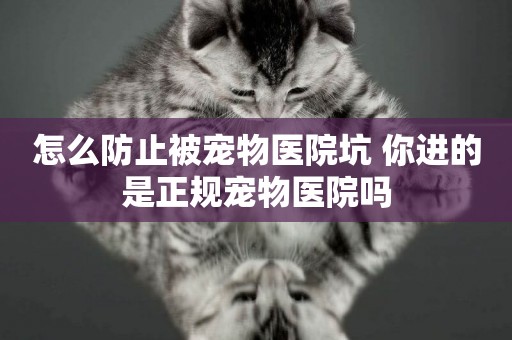 怎么防止被寵物醫院坑 你進的是正規寵物醫院嗎