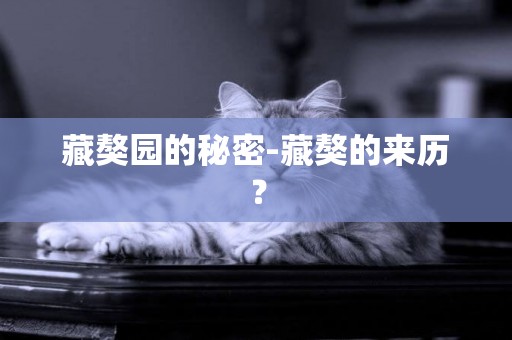 藏獒園的秘密-藏獒的來歷？