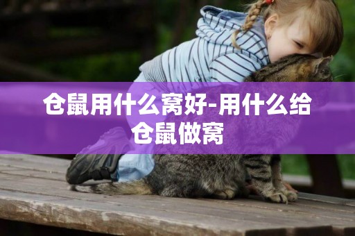 倉鼠用什么窩好-用什么給倉鼠做窩