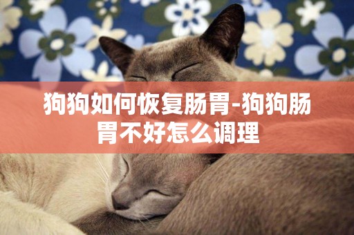 狗狗如何恢復腸胃-狗狗腸胃不好怎么調理