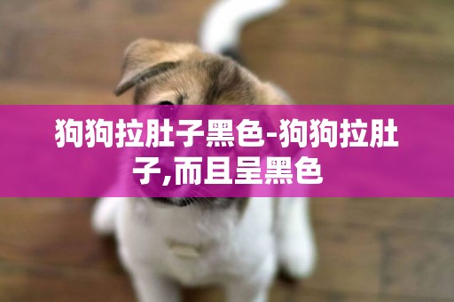 狗狗拉肚子黑色-狗狗拉肚子,而且呈黑色