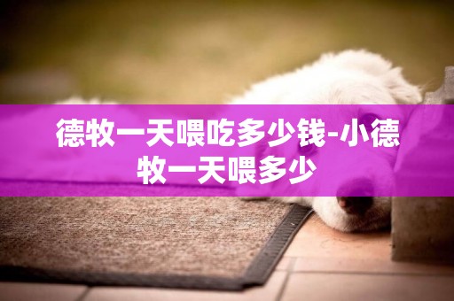 德牧一天喂吃多少錢-小德牧一天喂多少
