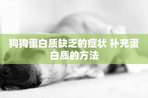 狗狗蛋白質缺乏的癥狀 補充蛋白質的方法