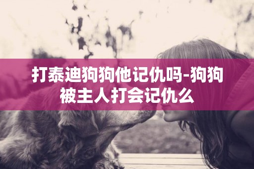 打泰迪狗狗他記仇嗎-狗狗被主人打會記仇么