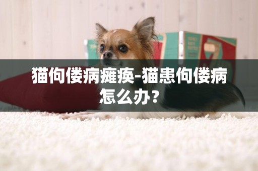 貓佝僂病癱瘓-貓患佝僂病怎么辦？