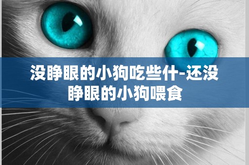 沒睜眼的小狗吃些什-還沒睜眼的小狗喂食
