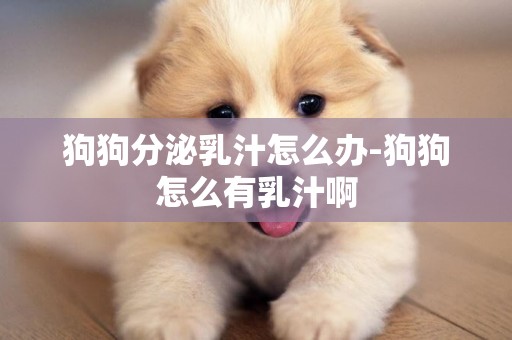 狗狗分泌乳汁怎么辦-狗狗怎么有乳汁啊