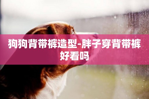 狗狗背帶褲造型-胖子穿背帶褲好看嗎