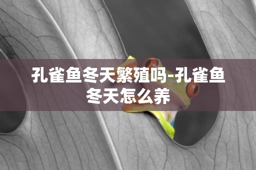 孔雀魚冬天繁殖嗎-孔雀魚冬天怎么養