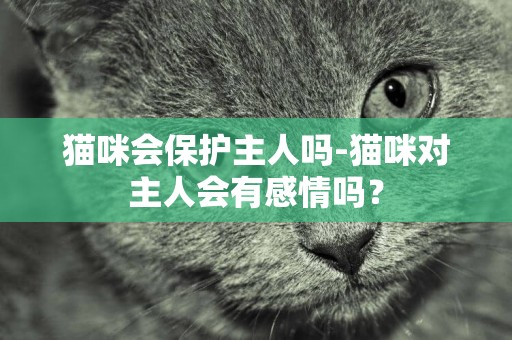 貓咪會保護主人嗎-貓咪對主人會有感情嗎？