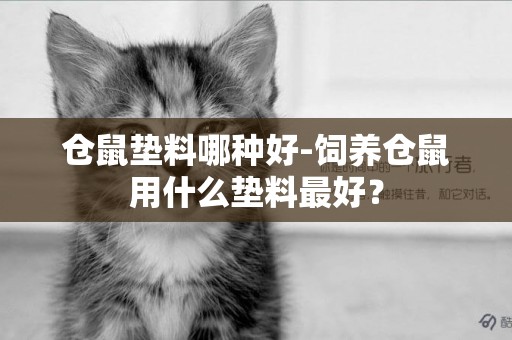 倉鼠墊料哪種好-飼養倉鼠用什么墊料最好？