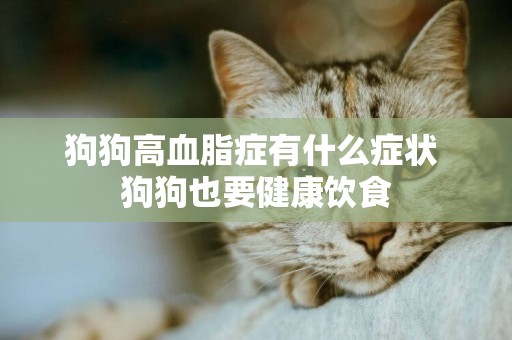 狗狗高血脂癥有什么癥狀 狗狗也要健康飲食