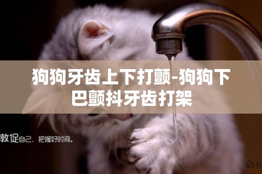 狗狗牙齒上下打顫-狗狗下巴顫抖牙齒打架