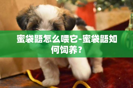 蜜袋鼯怎么喂它-蜜袋鼯如何飼養？