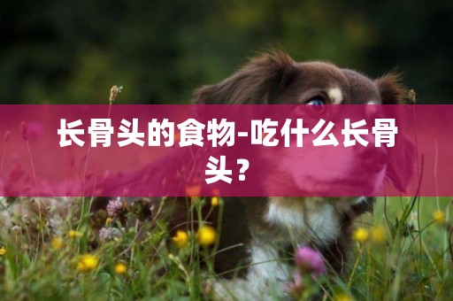 長骨頭的食物-吃什么長骨頭？