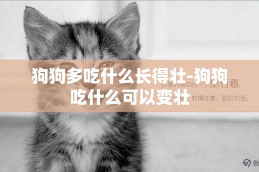 狗狗多吃什么長得壯-狗狗吃什么可以變壯