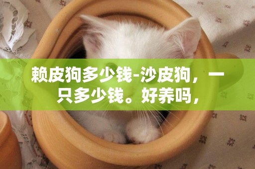 賴皮狗多少錢-沙皮狗，一只多少錢。好養嗎，