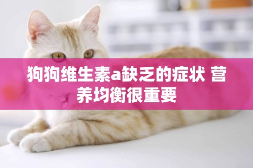 狗狗維生素a缺乏的癥狀 營養均衡很重要