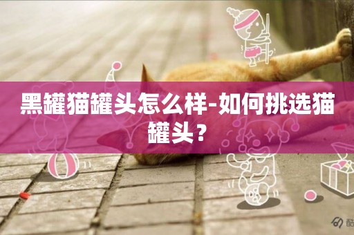 黑罐貓罐頭怎么樣-如何挑選貓罐頭？